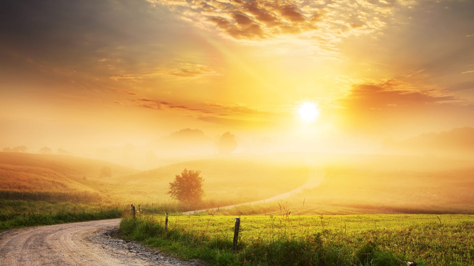 A winding dirt road through a misty green field at sunrise, bathed in golden light.
