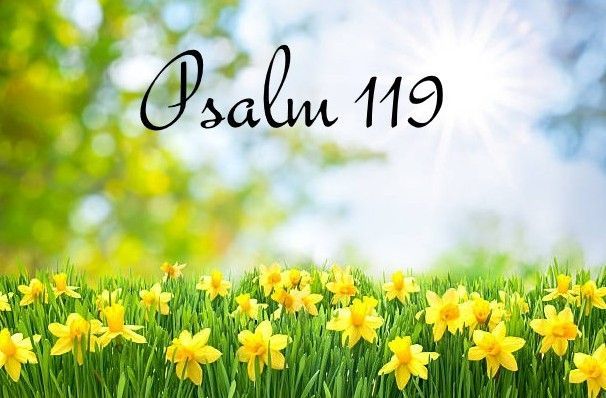 A field of yellow flowers with the words psalm 119 in the background