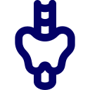Thyroid and Parathyroid Surgery Icon — Bradenton, FL — ENT Associates of Manatee Thyroid and Parathyroid Surgery Icon — Bradenton, FL — ENT Associates of Manatee
