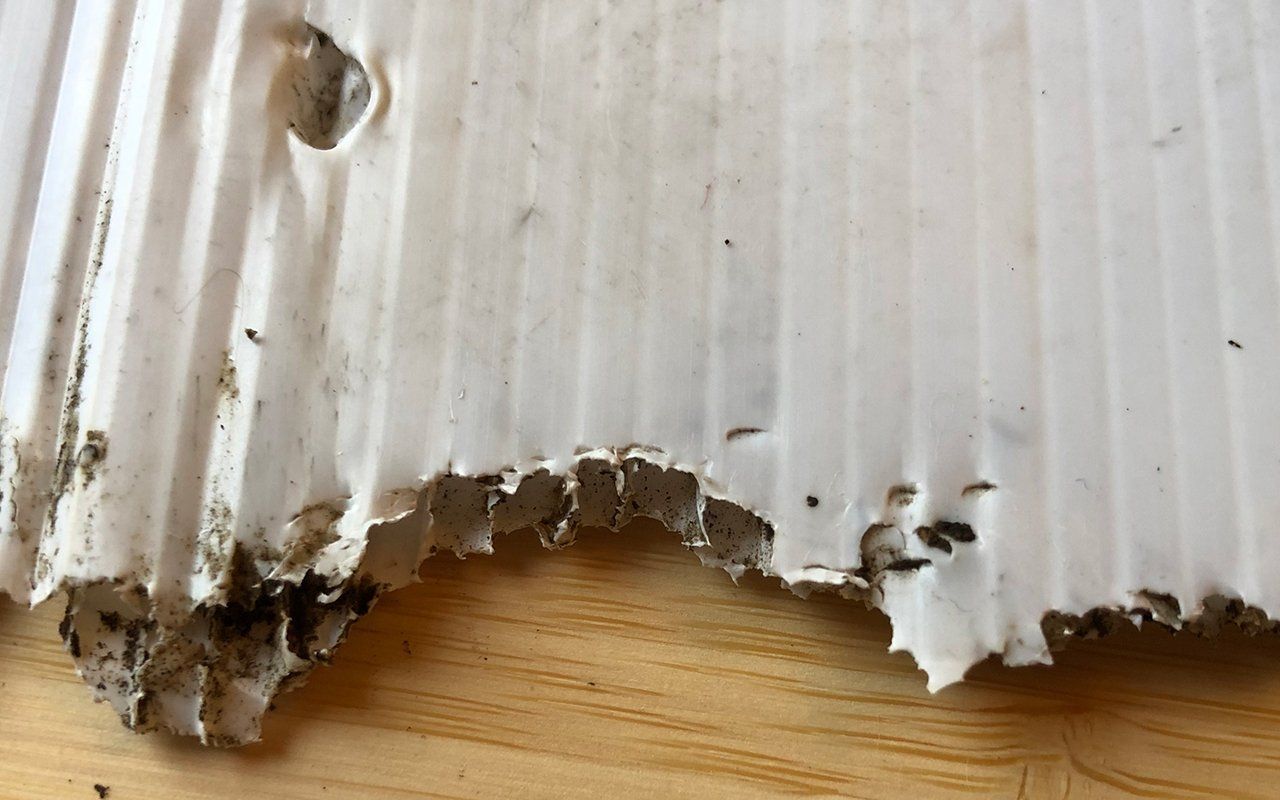 A piece of cardboard is sitting on a wooden table.