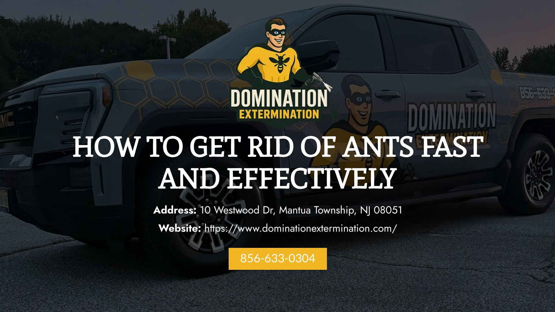 how to get rid of ant