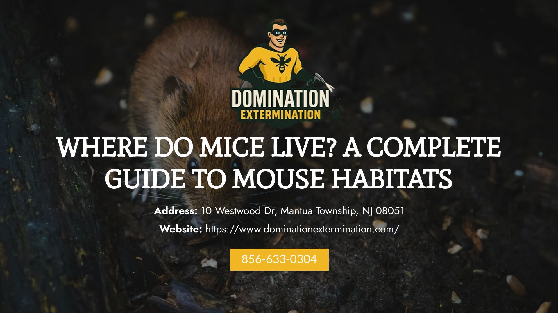 Where do mice live