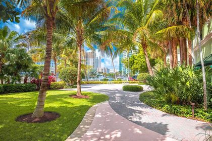 Commercial property with palm trees Commercial property with palm trees