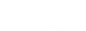 Viridian Marketing & Design custom website logo