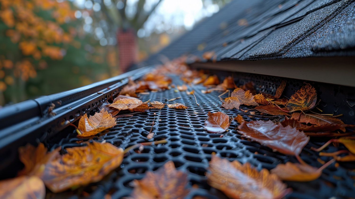 Roof gutter became clogged with leaves and debris. Roof gutter became clogged with leaves and debris.