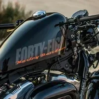 Harley Davidson 1