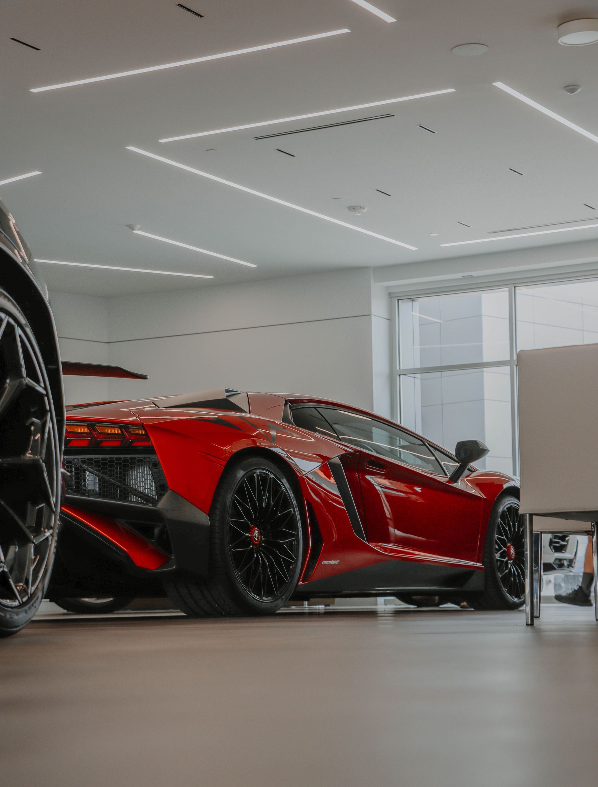 lambo
