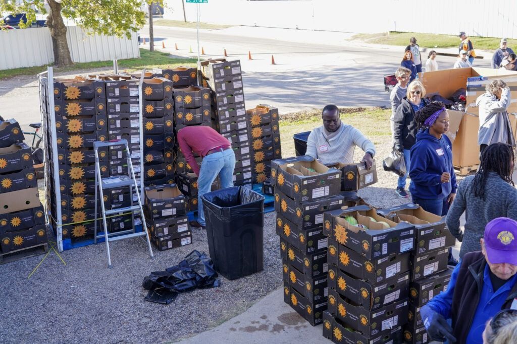 People sorting black crates of produce outdoors near a street, with several workers around tables.