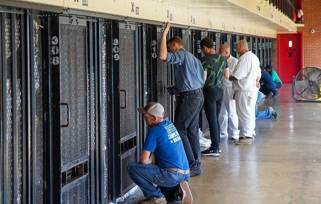 People standing and crouching at prison cell doors in a hallway, with black metal bars and white-clad officers.
