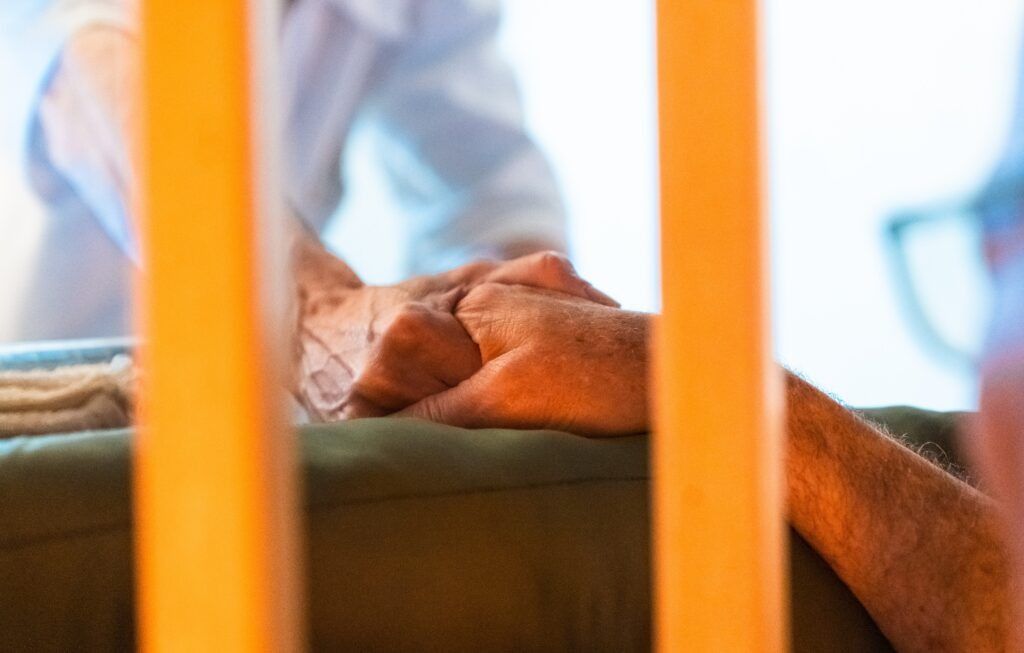 Cat sleeping on a couch behind orange bars