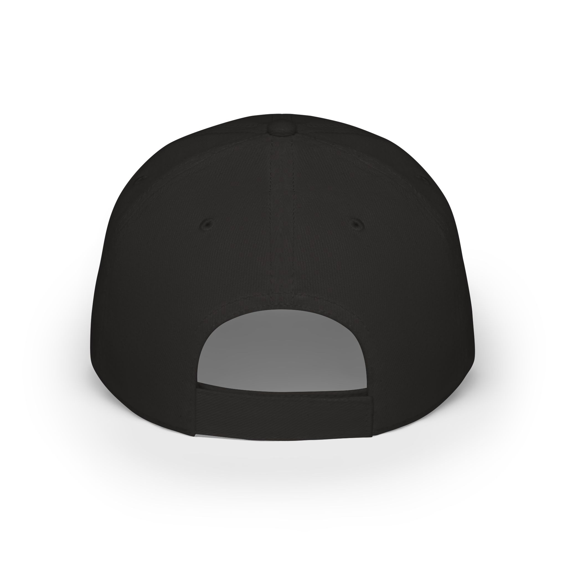 Vayu Cap Logo