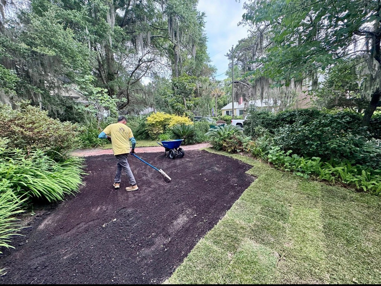 A person spreads dark mulch across a garden bed with a rake, with a wheelbarrow nearby and lush trees in the background.