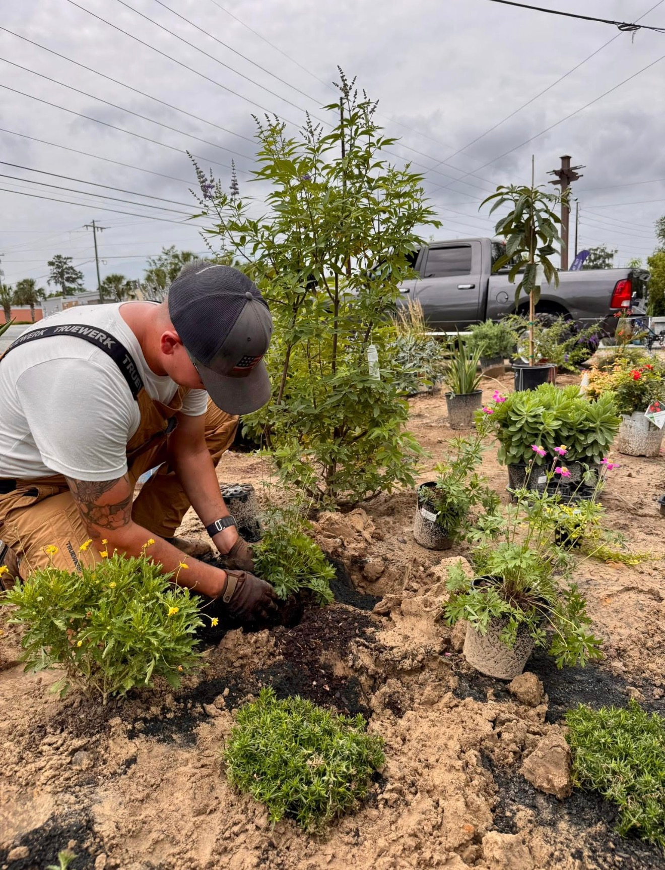 A person in work clothes and a cap plants a small shrub in a garden bed on a cloudy day, with other plants and a truck nearby.