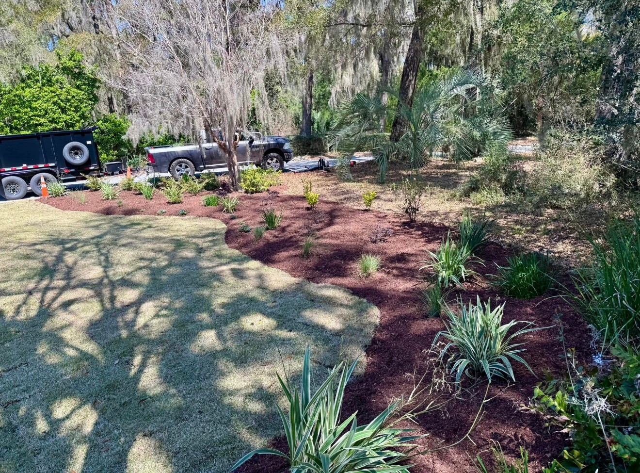 A freshly mulched garden bed with small plants borders a newly laid patch of sod, with a truck parked in the background.