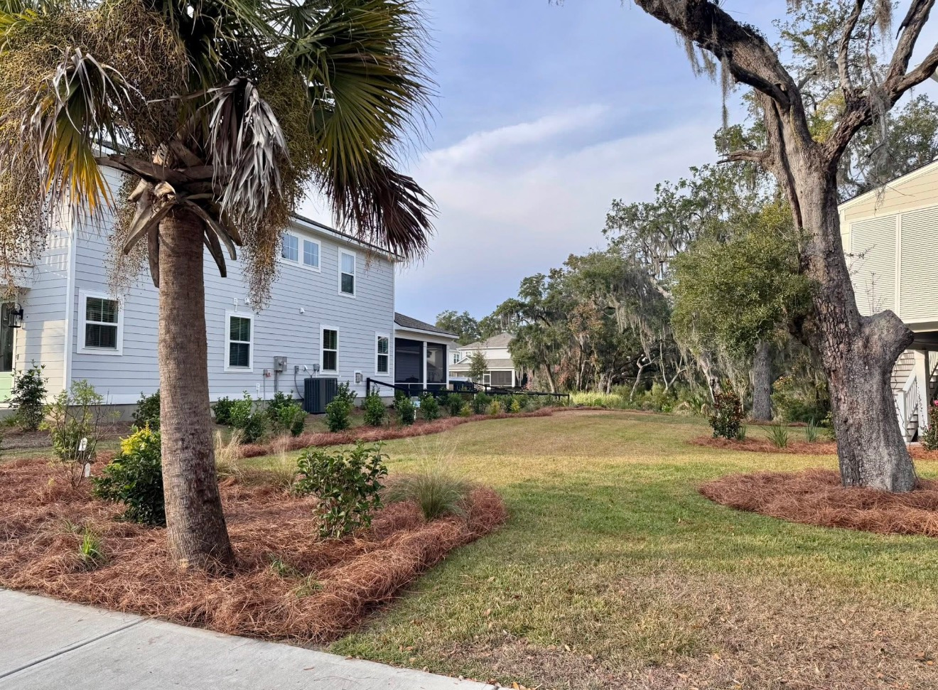 A palm tree and large oak tree frame a grassy yard between two houses on a sunny day.