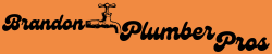 Get the Pros Brandon Plumber Pros Logo