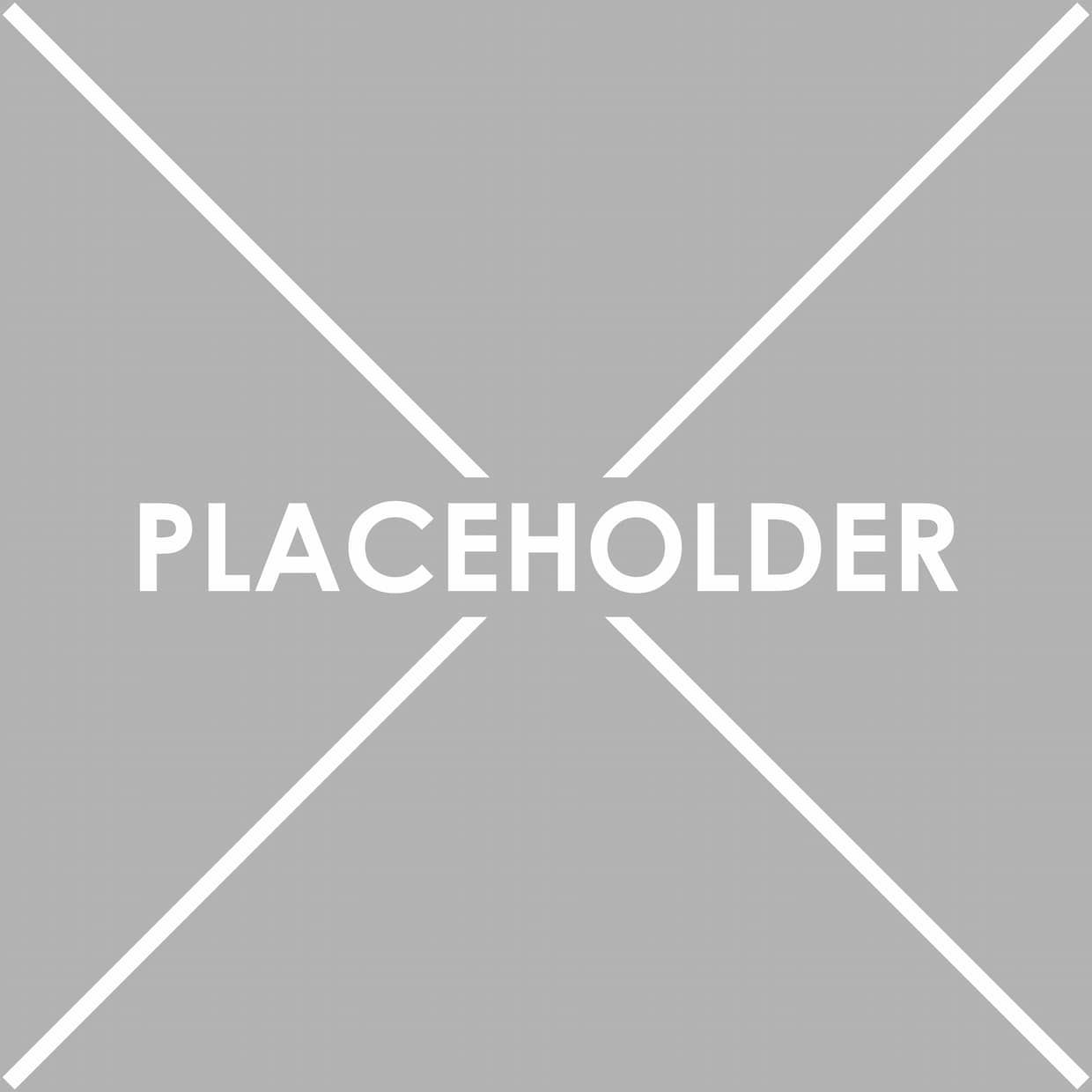 A gray background with a cross and the word ' placeholder ' on it.