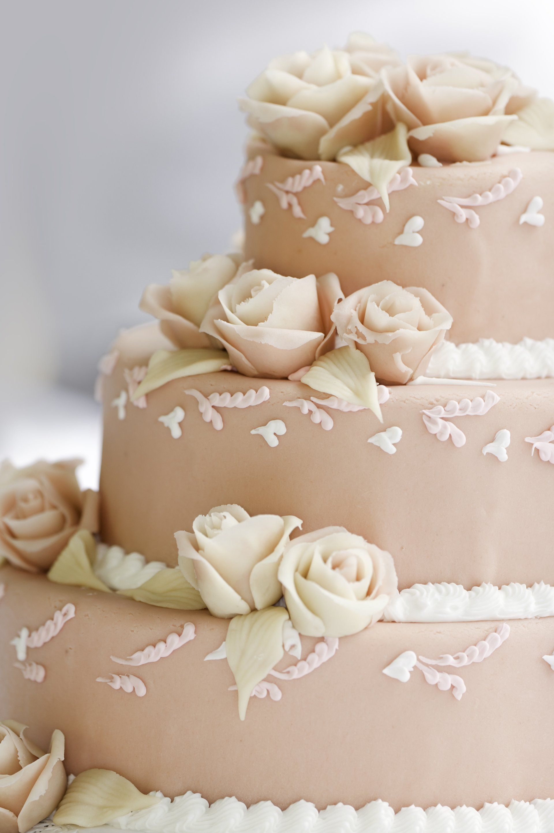 torte