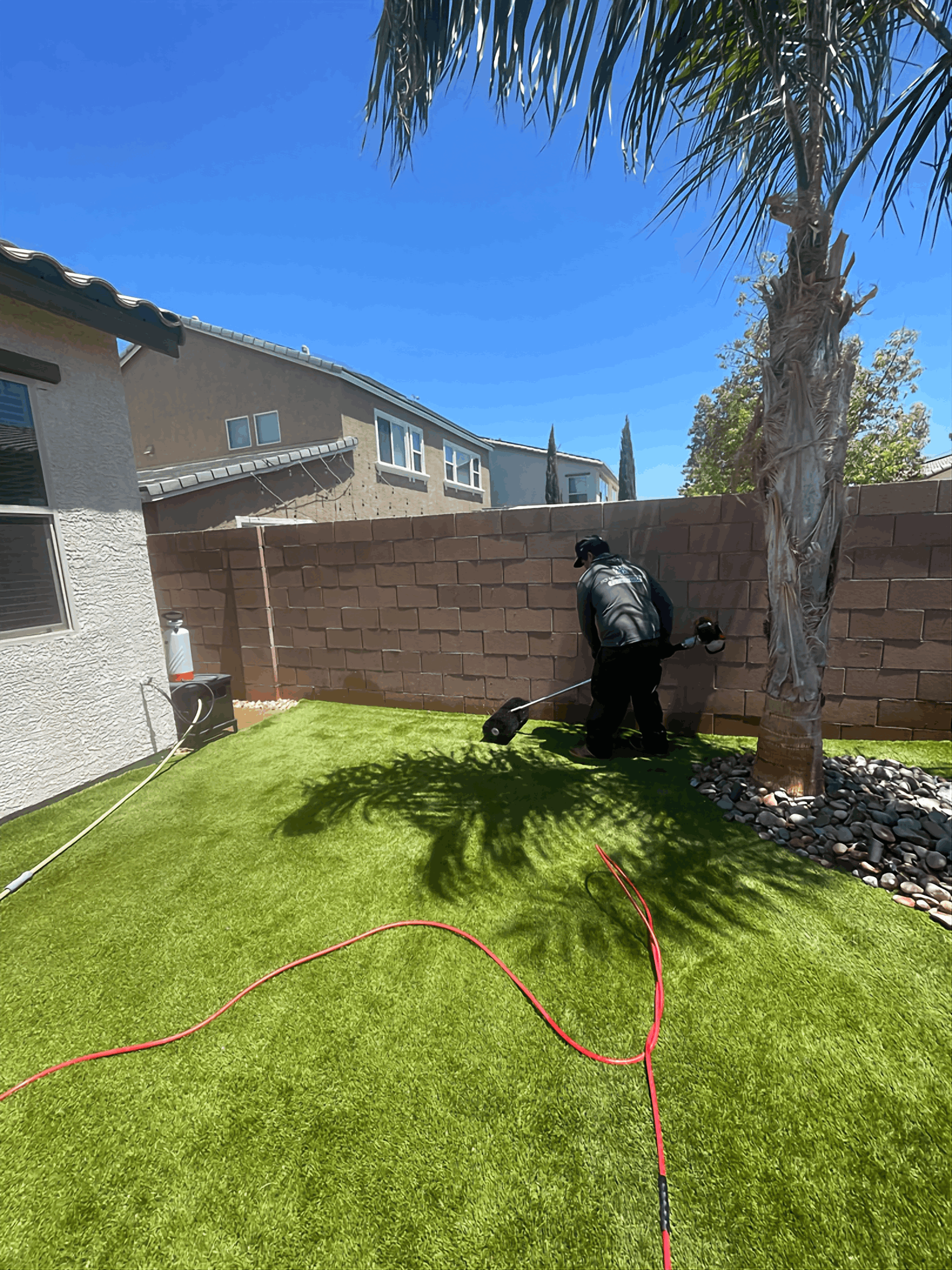 Backyard with green lawn, brick wall, palm tree, and a black barbecue grill near the fence.