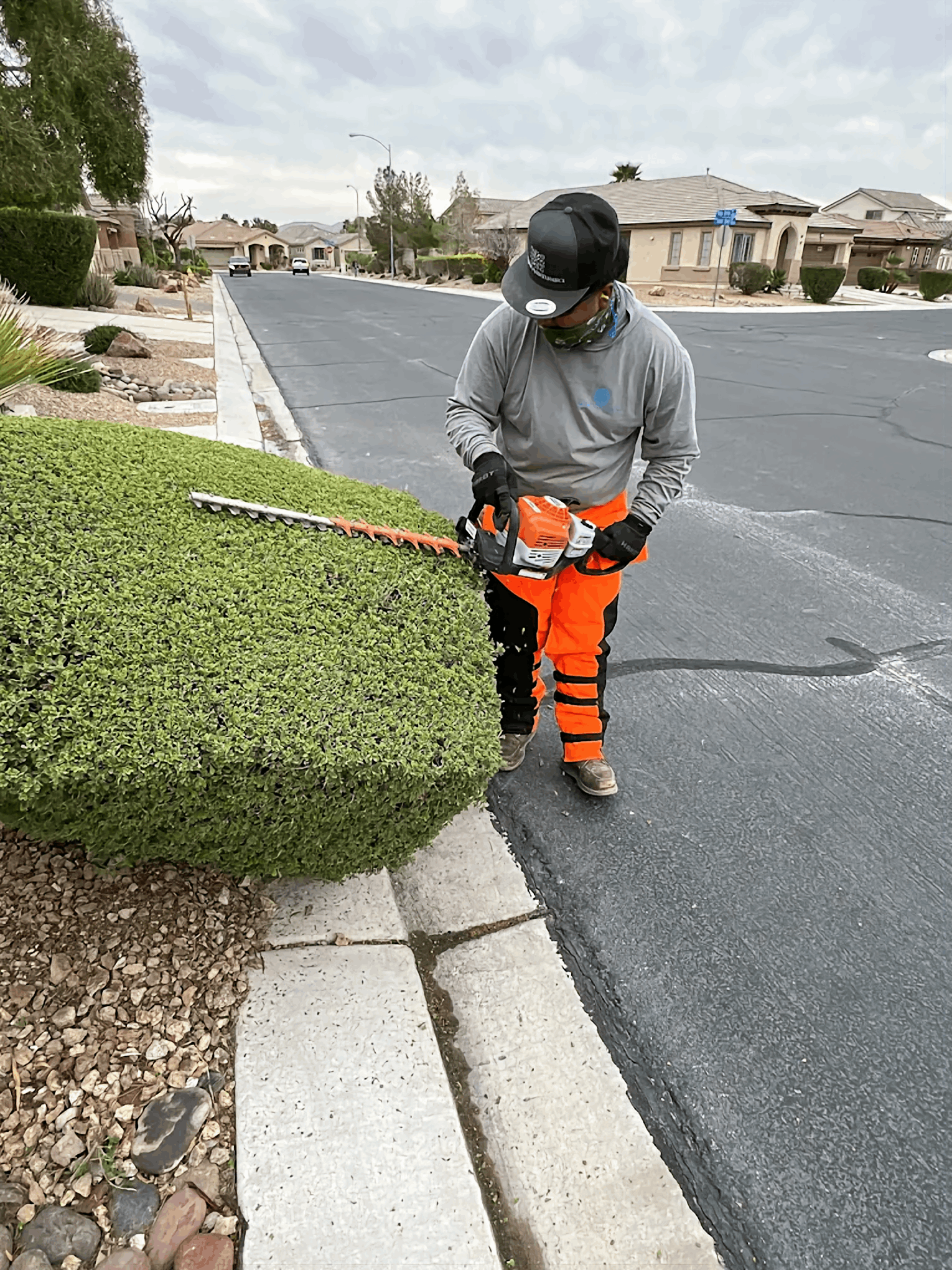 Worker in orange safety pants trims a hedge along a suburban street with a hedge trimmer.