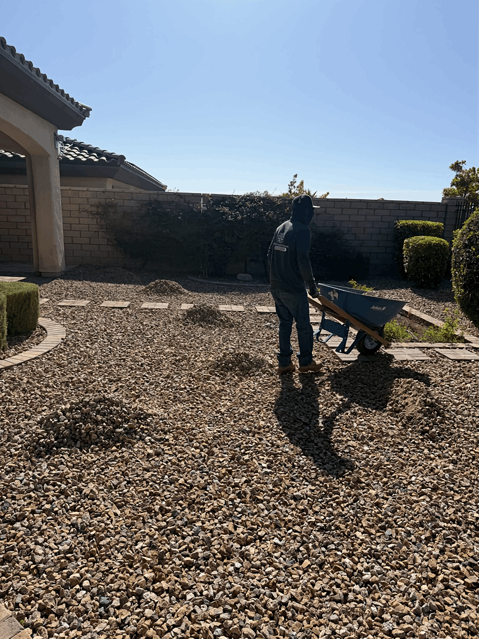 Person standing in a sunny backyard beside a bench and shrubs, with a house and blue sky in the background