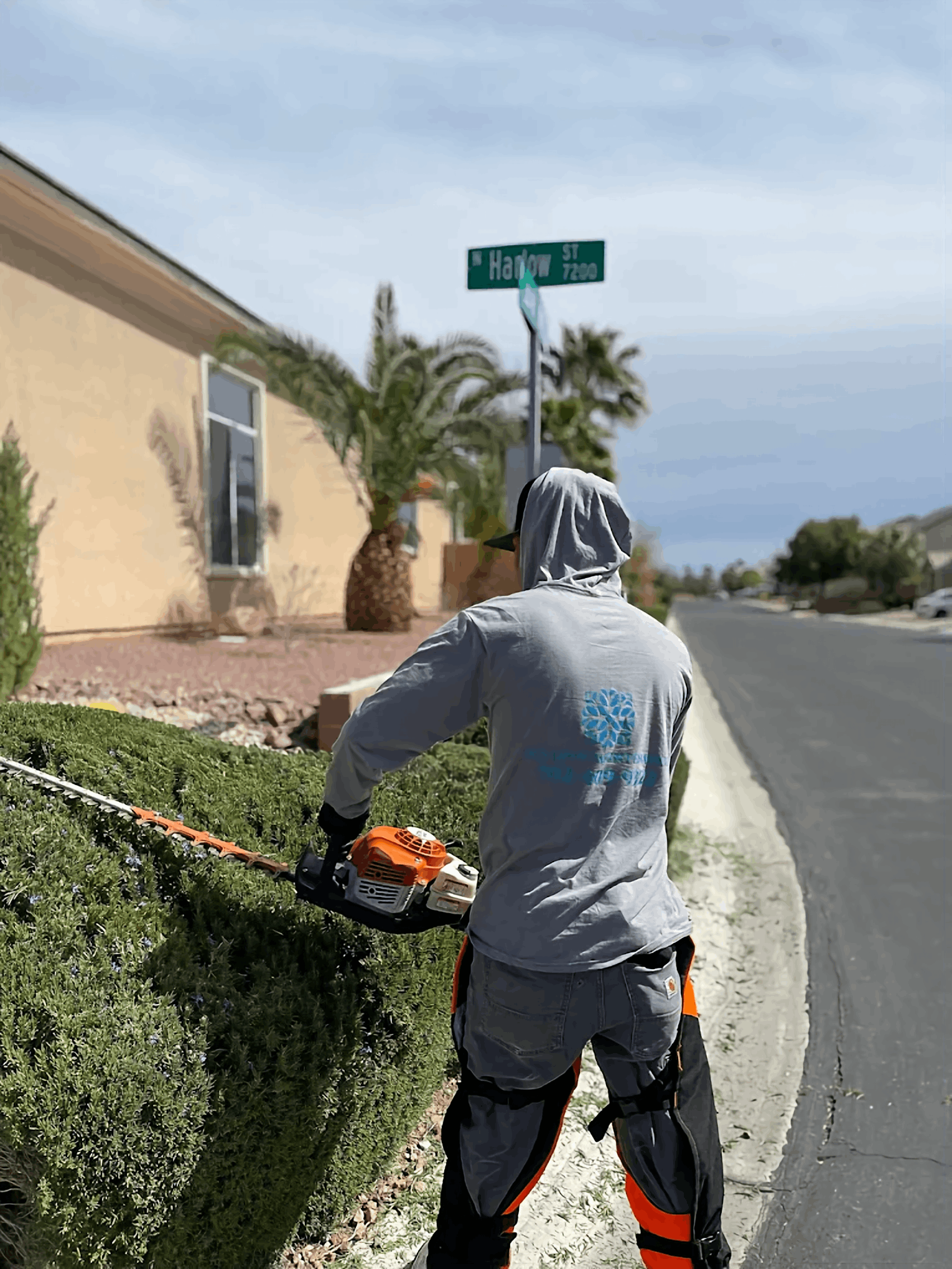Worker trimming hedge beside a beige house on a sunny suburban street