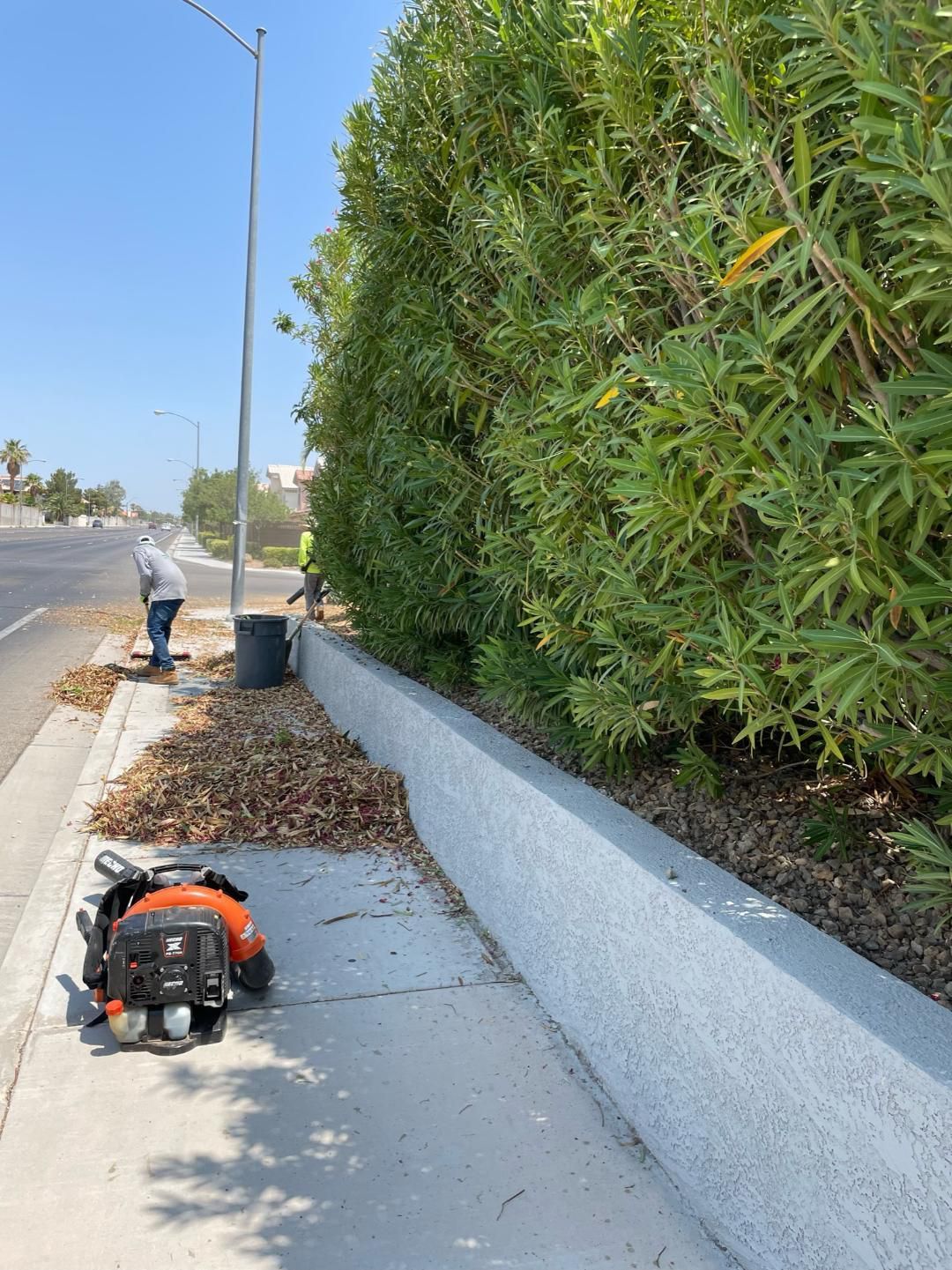 Property Clean Up
