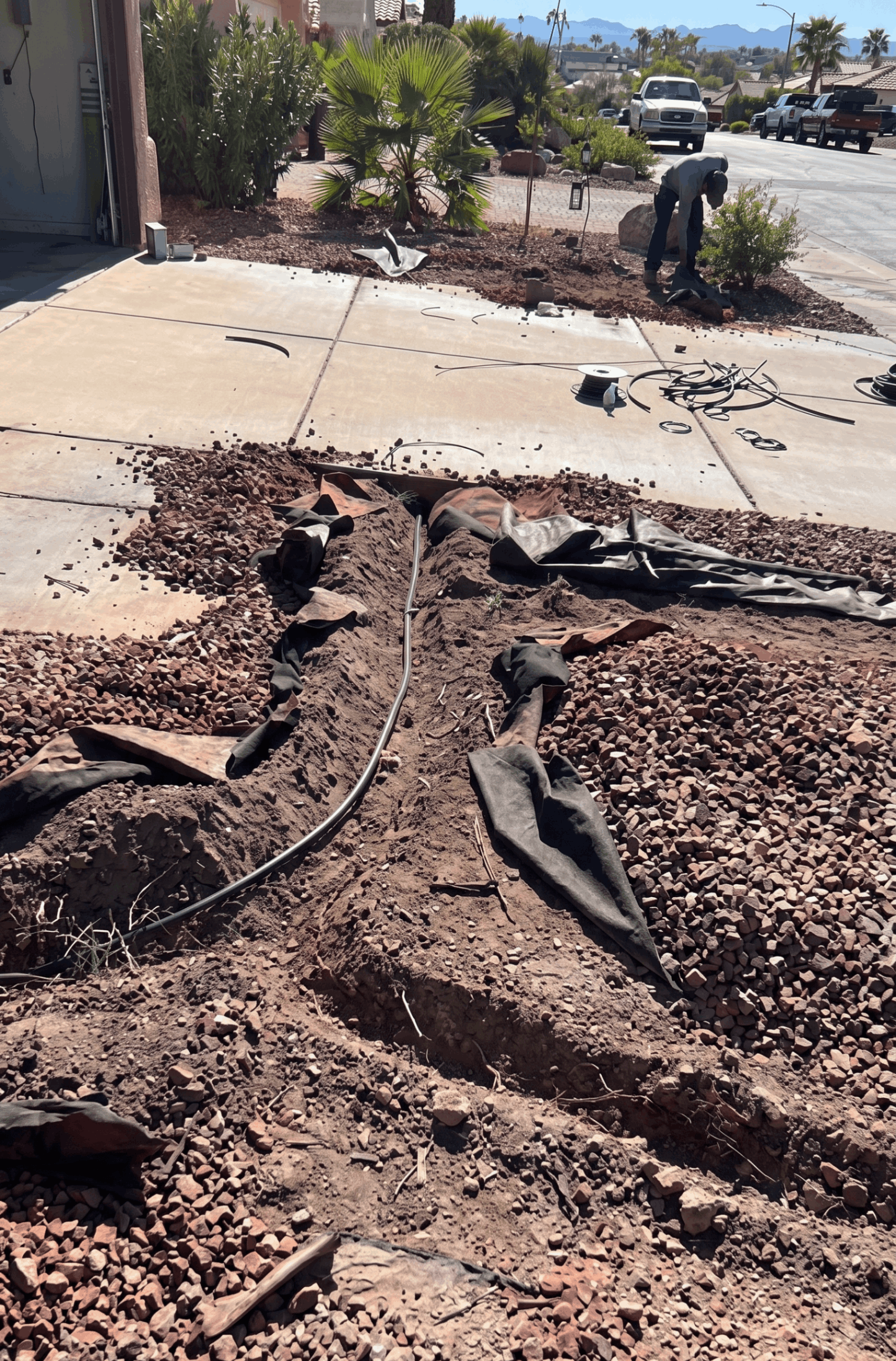 Damaged garden bed with exposed roots and torn black tubing beside a sidewalk and road