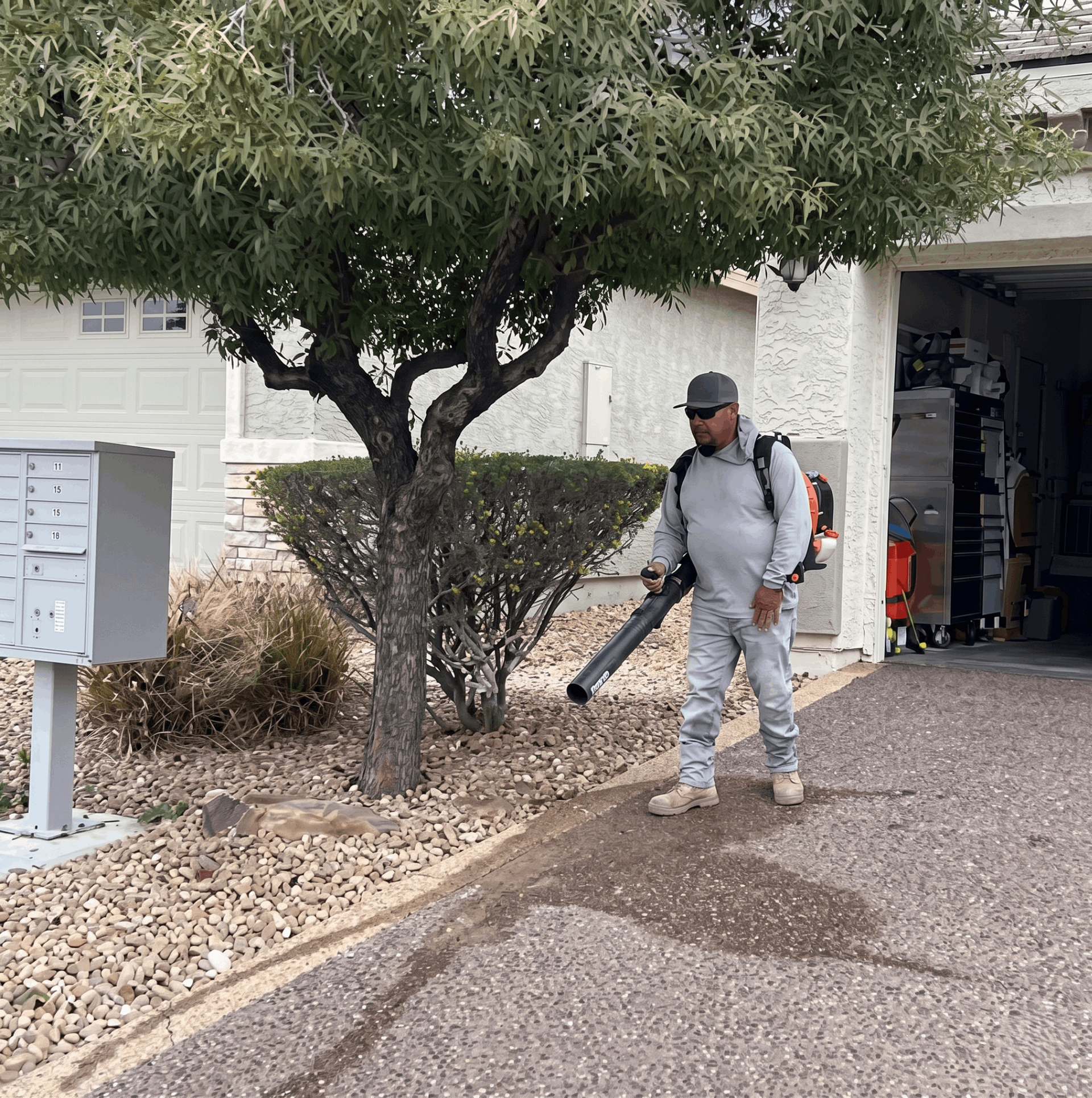 Worker using a leaf blower on a driveway beside a tree and mailboxes