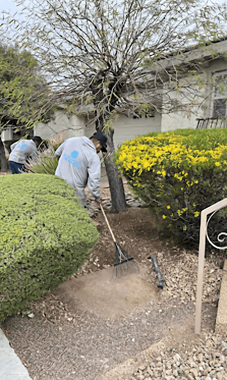 Two workers planting along a garden path beside shrubs and a tree near a building.
