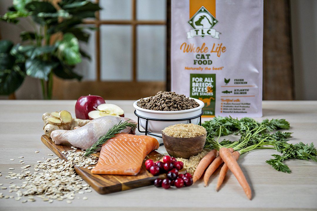 commercial photography photographer photos business branding marketing  styled photoshoot pet food styled