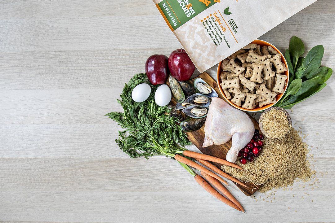 commercial photography photographer photos business branding marketing  portrait food styled photoshoot