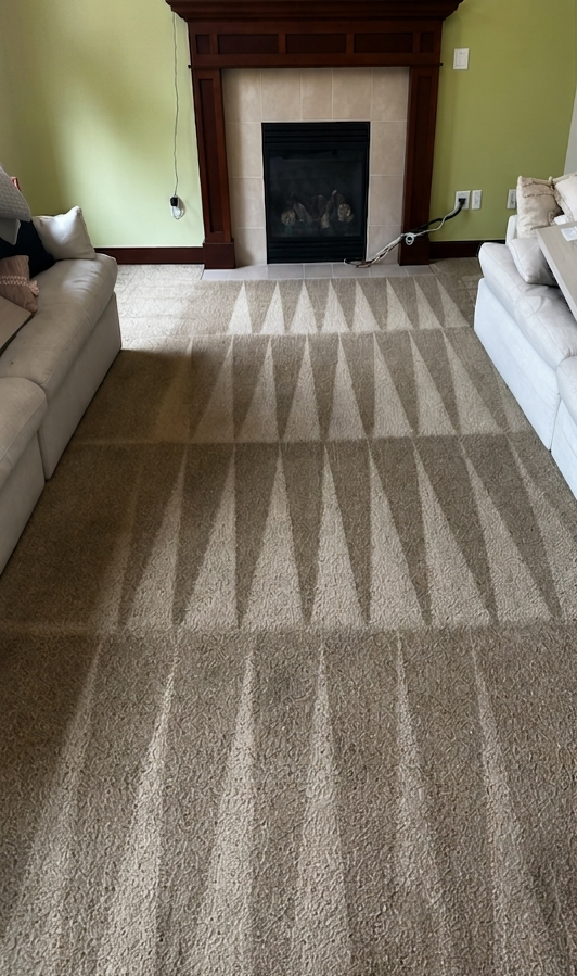 Living room with beige sofas, striped carpet, and a dark fireplace centered on the far wall