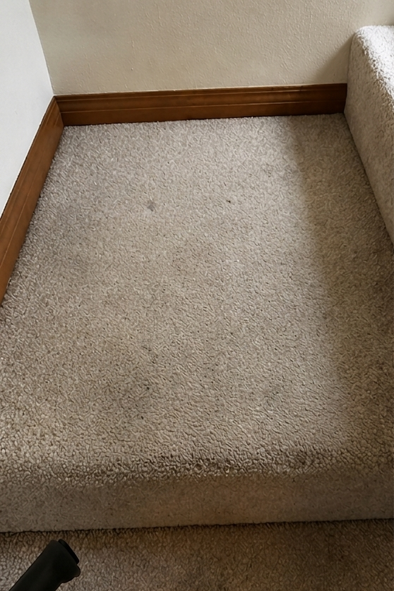 Beige carpeted step or landing with wooden trim and a white wall corner