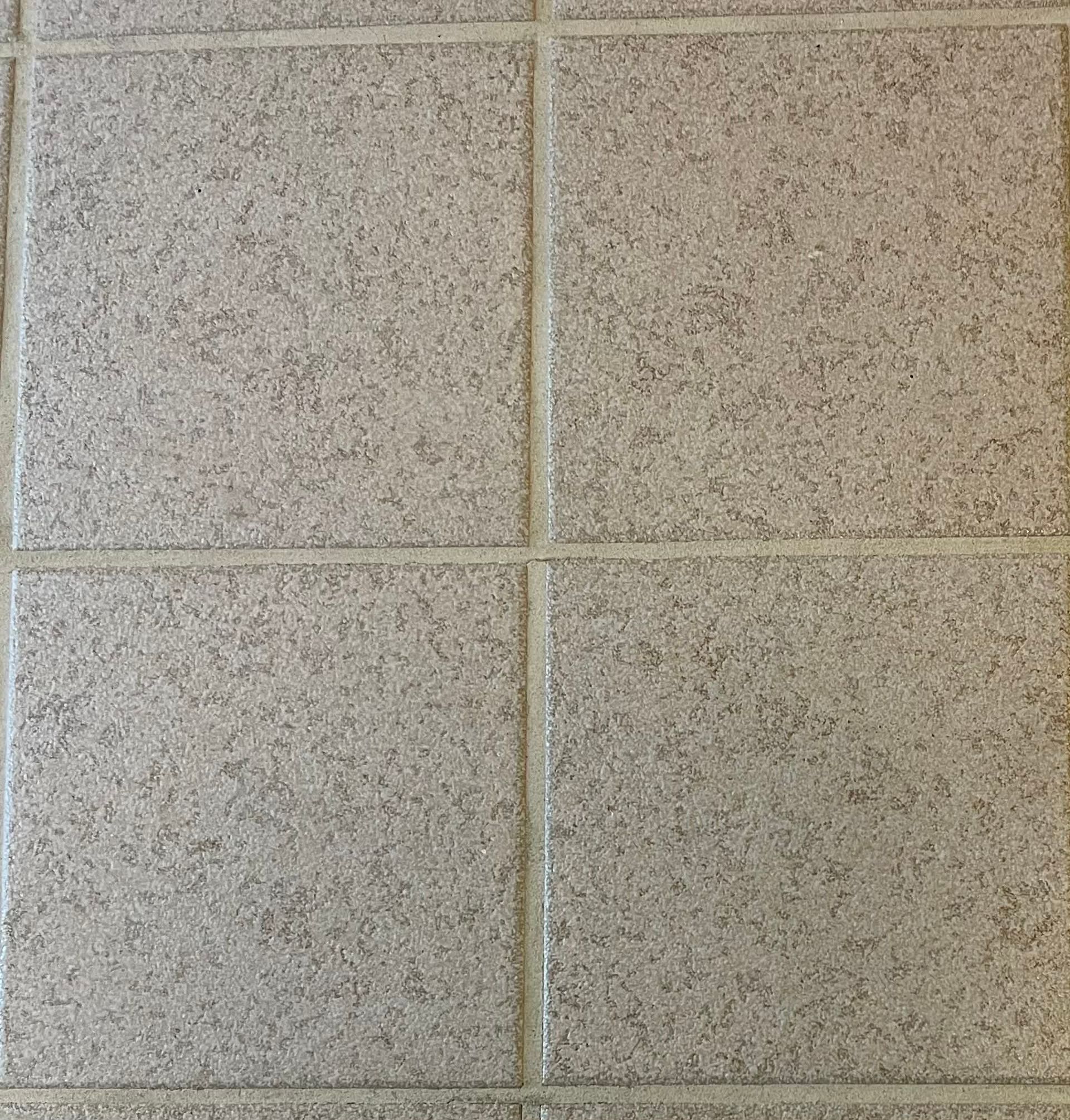 Close-up of four light beige speckled floor tiles with narrow grout lines