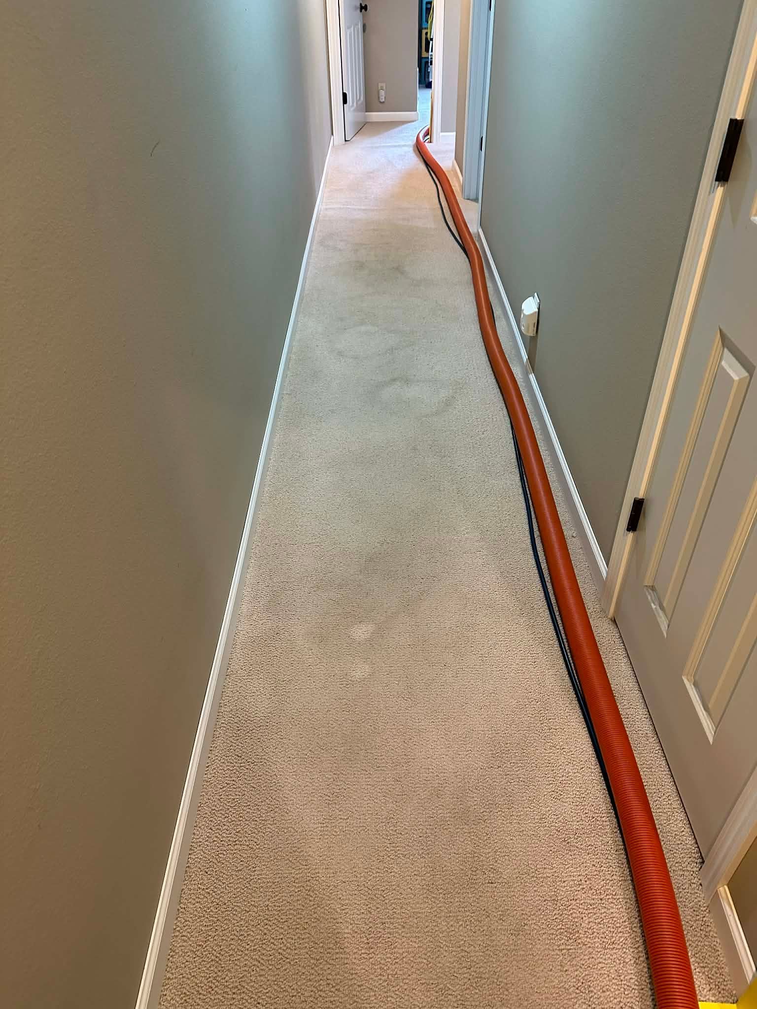 Narrow carpeted hallway with a long orange cable running along the right wall.