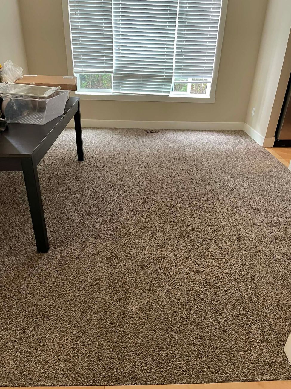 Carpeted room corner with a window, blinds, and a small table beside it.