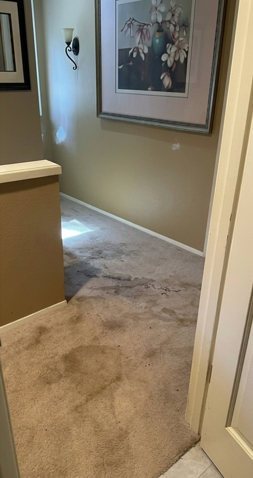 Carpeted hallway with beige walls, framed wall art, and a doorway opening to a sunlit room.