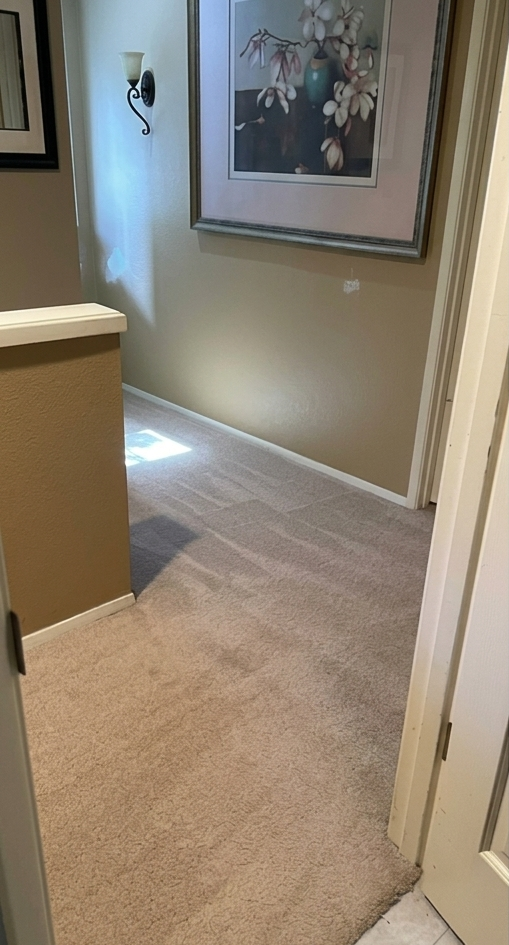 Carpeted hallway with beige walls, framed artwork, and sunlight streaming across the floor