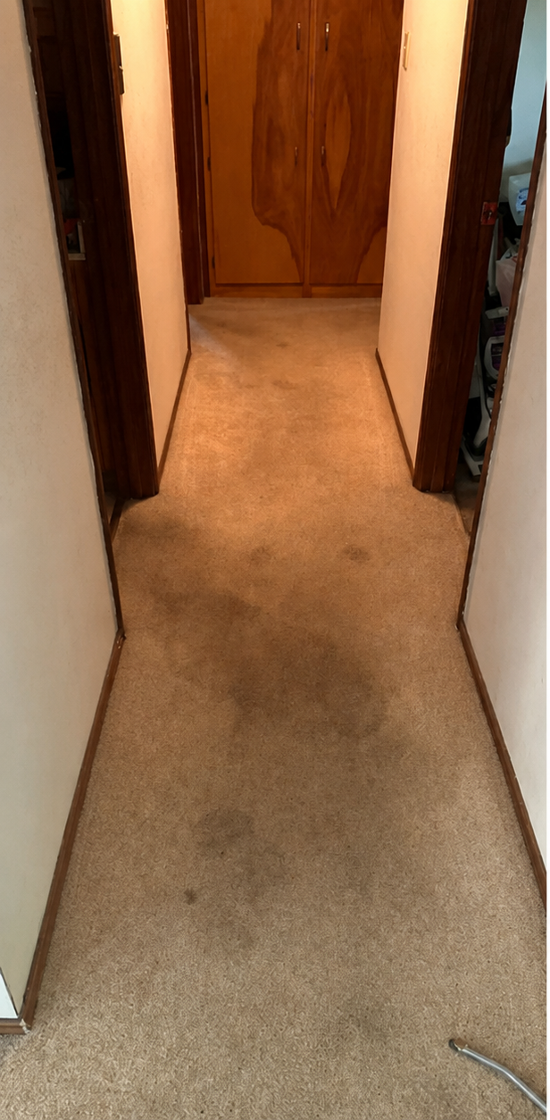 Narrow beige hallway with wood doorframes and a closed wooden door at the end.