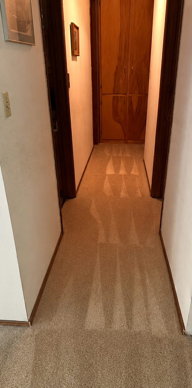 Narrow hallway with beige carpet and wooden doors, leading to a closed door at the end.
