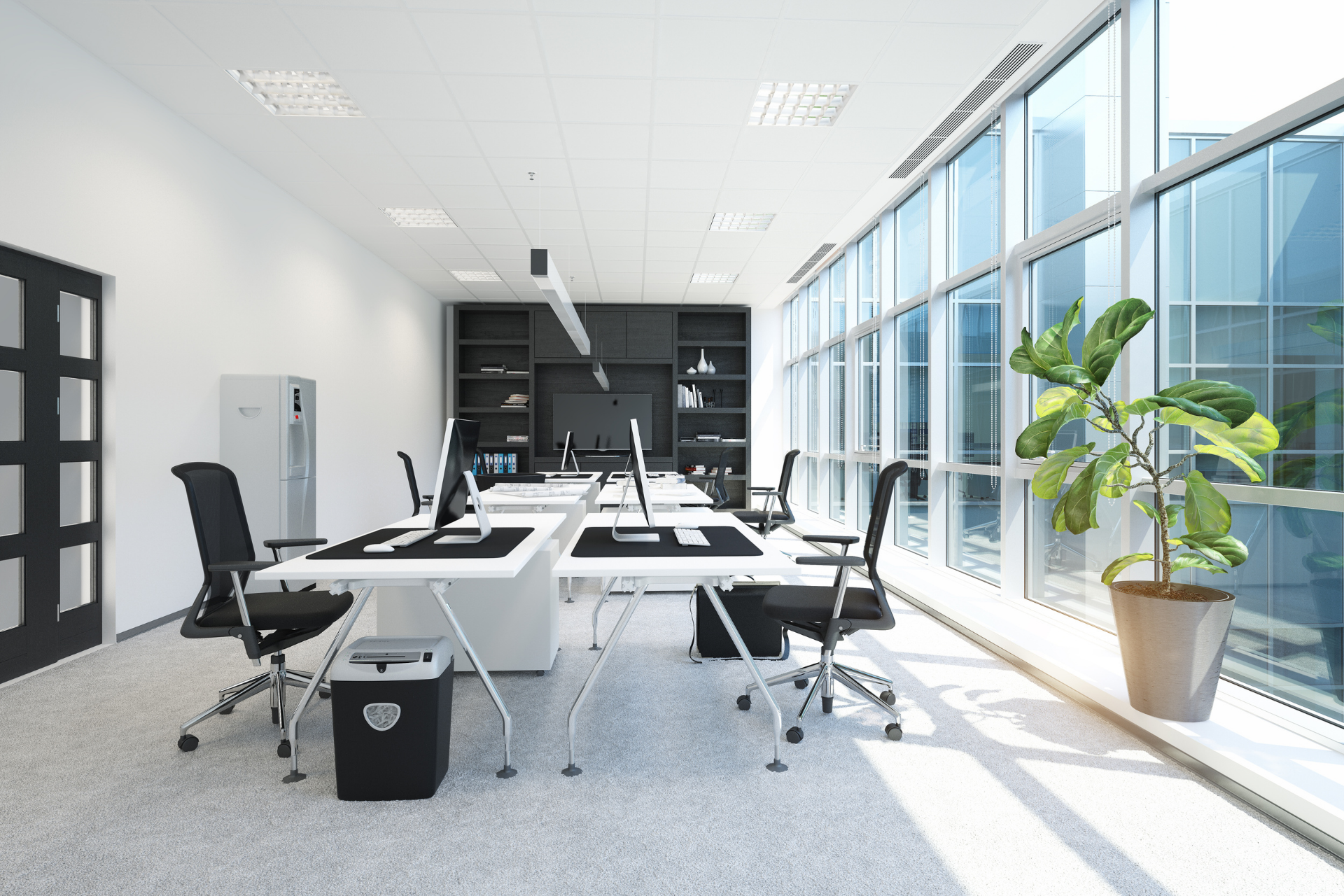 Bright modern office with desks, chairs, shelves, and large sunlit windows; a potted plant by the glass wall