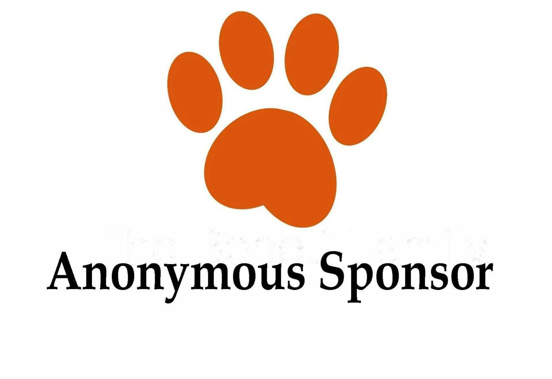 Sponsor Me Now