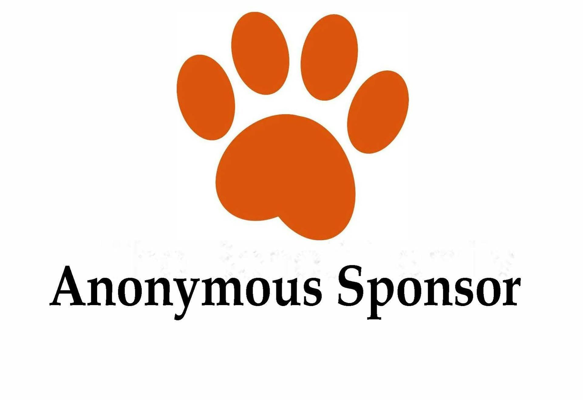 Sponsor Me Now