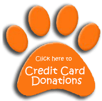 donate button