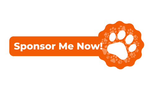 Sponsor Me Now