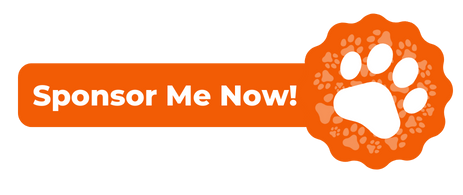 Livelife Community Support Program