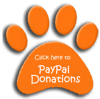 donate button