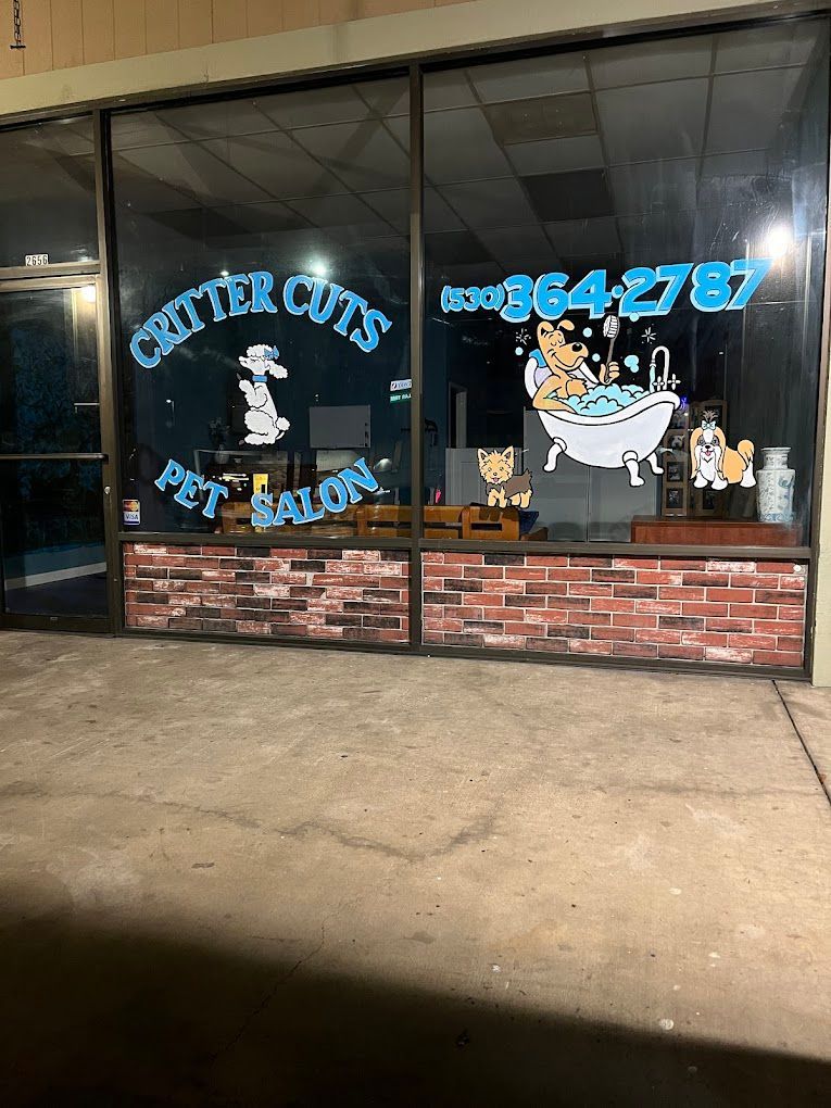 dog grooming near me
