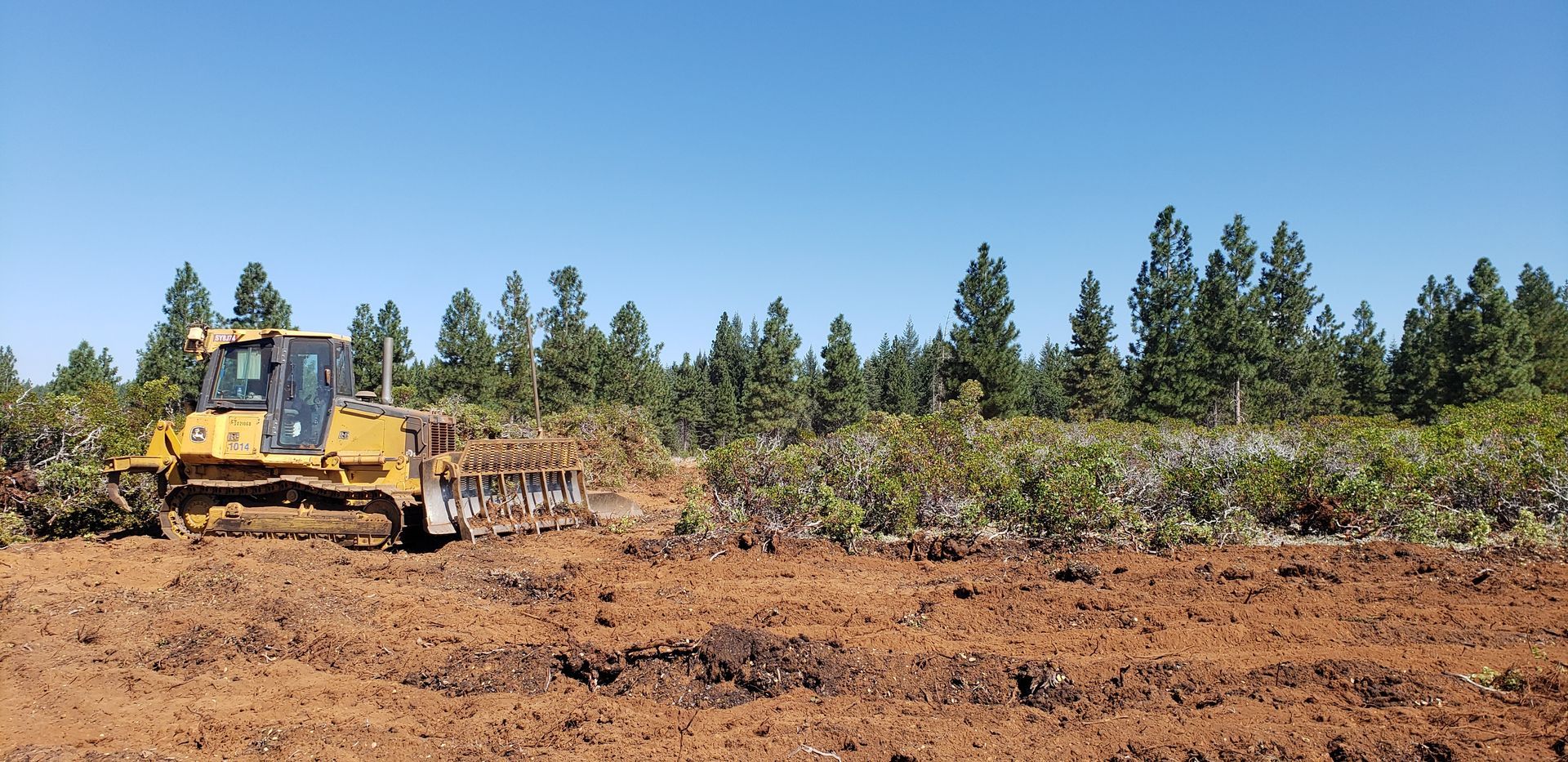 fire lines land clearing brush removal fire prevention